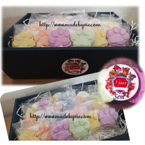 Stoepkrijt Paw Patrol