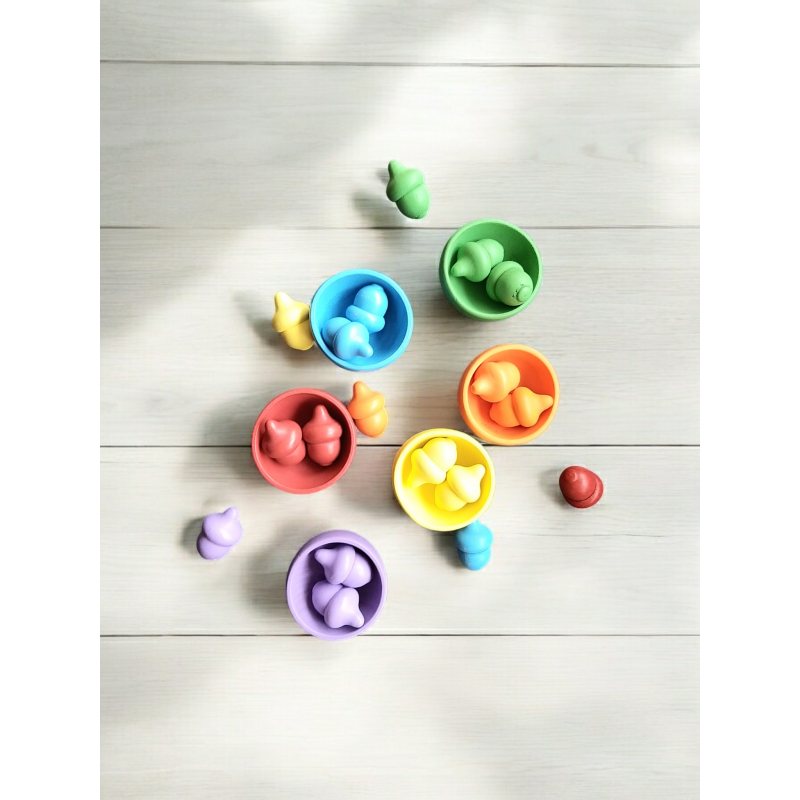 Speelrijst accessoires - Montessori kleurspel