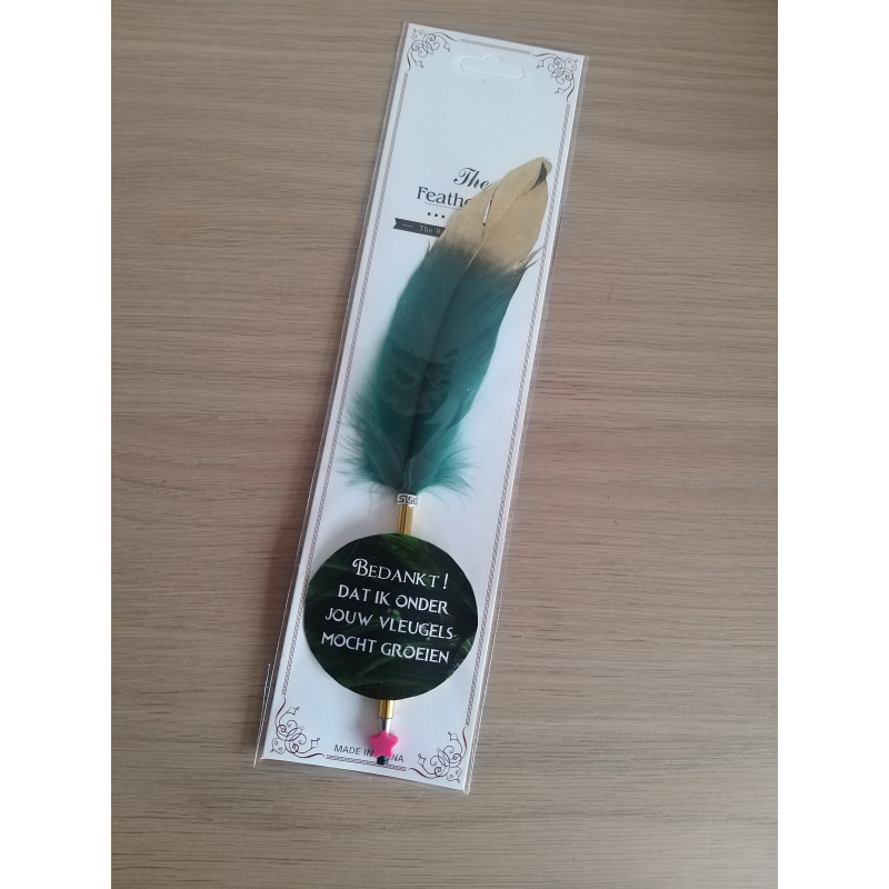 Pen with feather