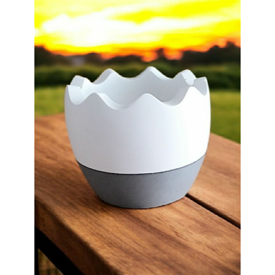 Egg pot